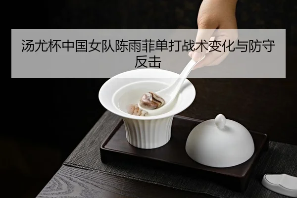 汤尤杯中国女队陈雨菲单打战术变化与防守反击