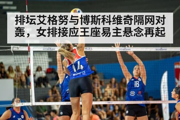 volleyball match action