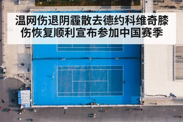温网伤退阴霾散去德约科维奇膝伤恢复顺利宣布参加中国赛季